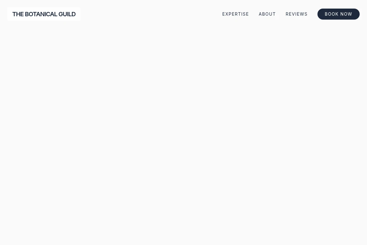Glow Cosmetics